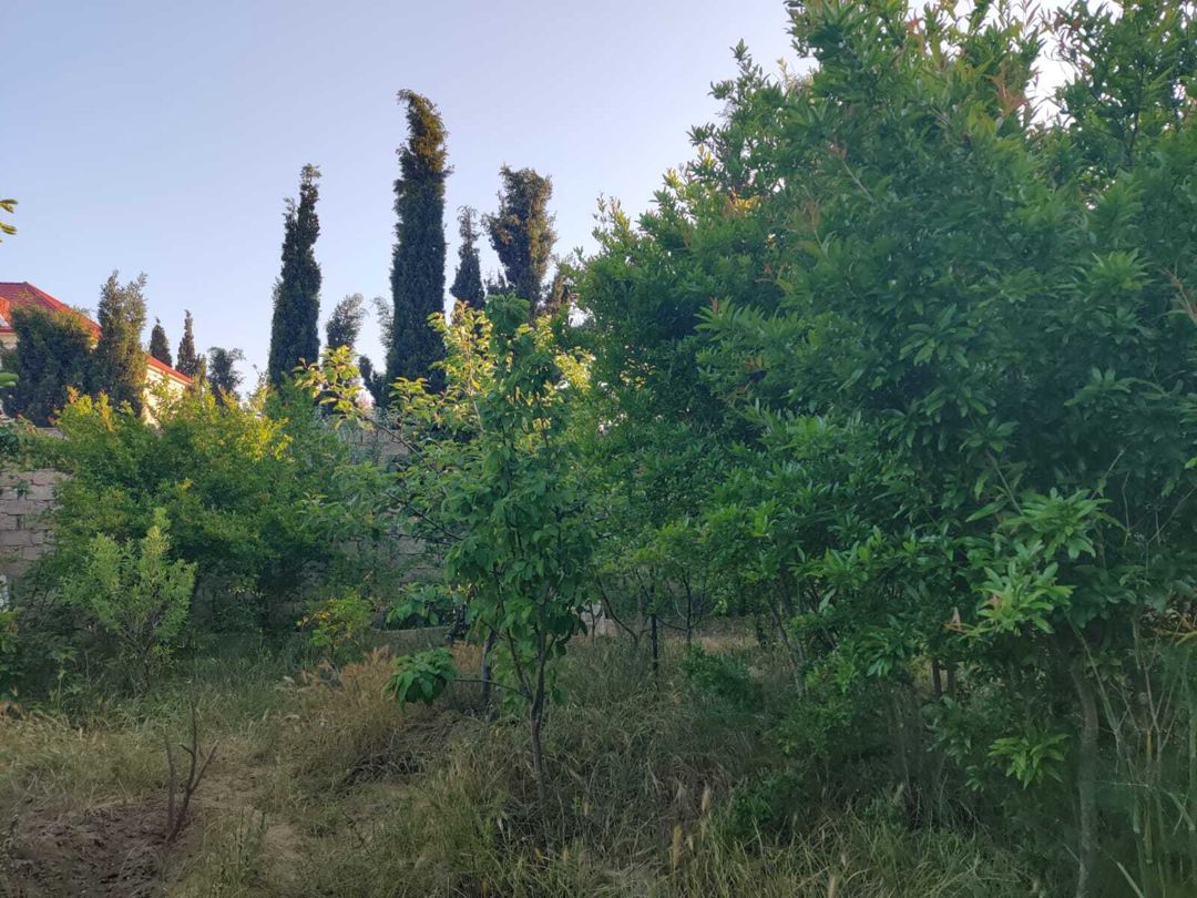 Satılır 2 otaqlı həyət evi/bağ evi 22 m² — Ev, villa, Bakı (7)