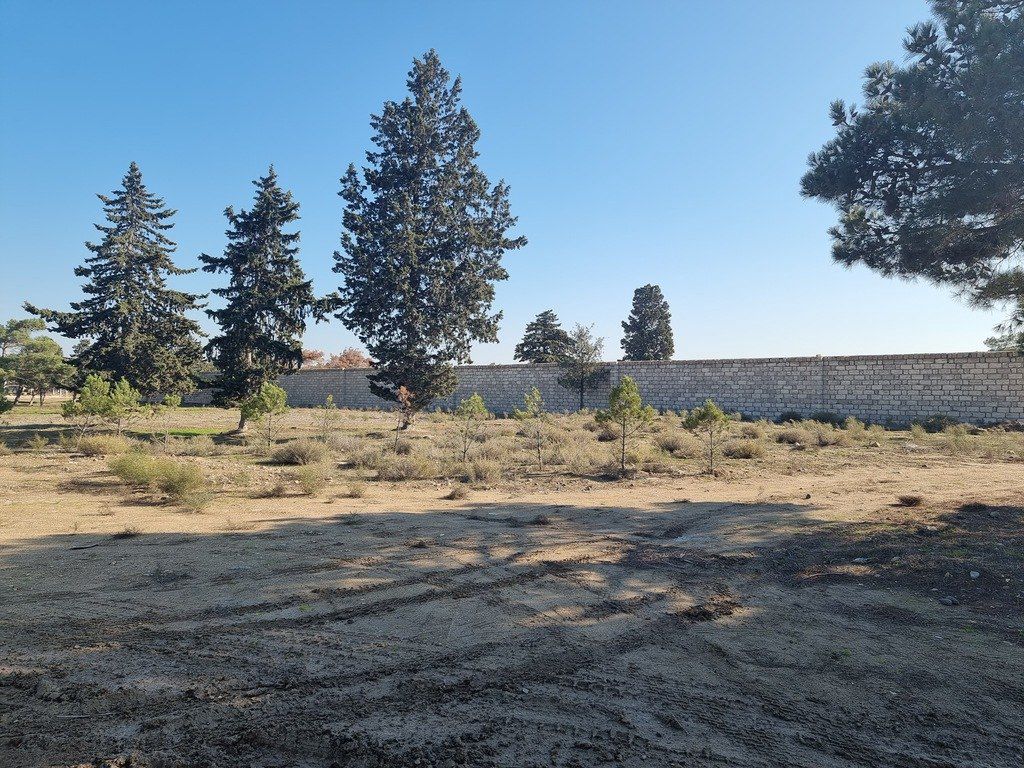 Satılır torpaq 90 sot — Torpaq, Bakı (5)