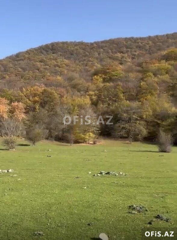Torpaq Satılır Oğuz, Oğuzda torpaq, 81 sot — Torpaq, Oğuz (6)