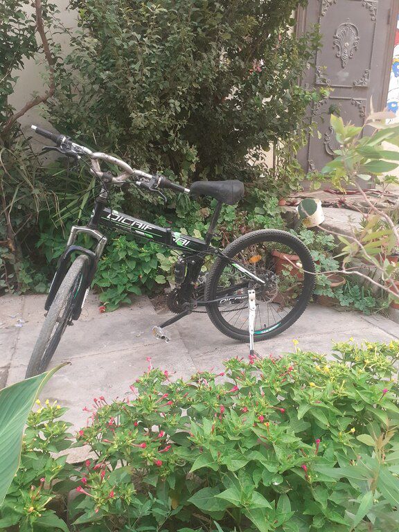 Velosiped — Velosipedlər, Bakı (5)