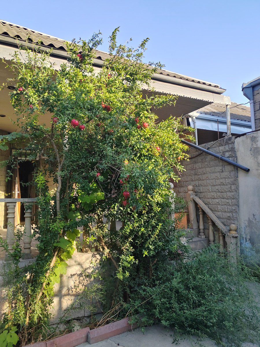 Satılır 3 otaqlı həyət evi/bağ evi 84 m² — Ev, villa, Bakı (9)