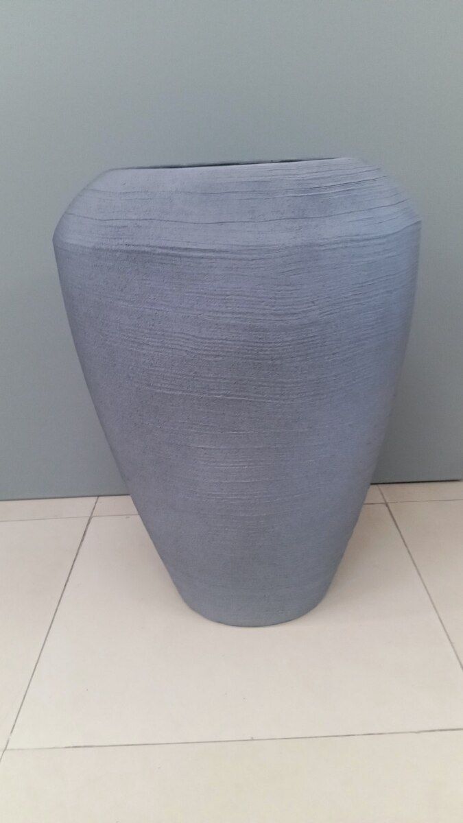 Dibçəklər — Bitkilər, Bakı (3)