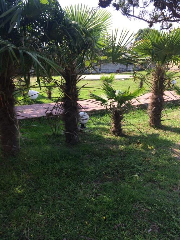 Satılır obyekt 557 m² — Əmlak, Xaçmaz (7)