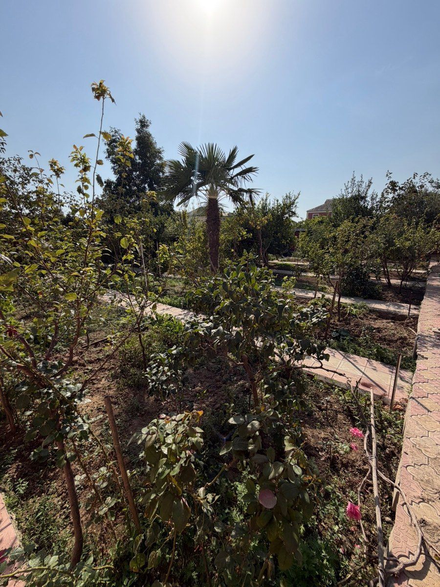 Həyət evi, Mehdiabad qəs — Ev, villa, Bakı (3)