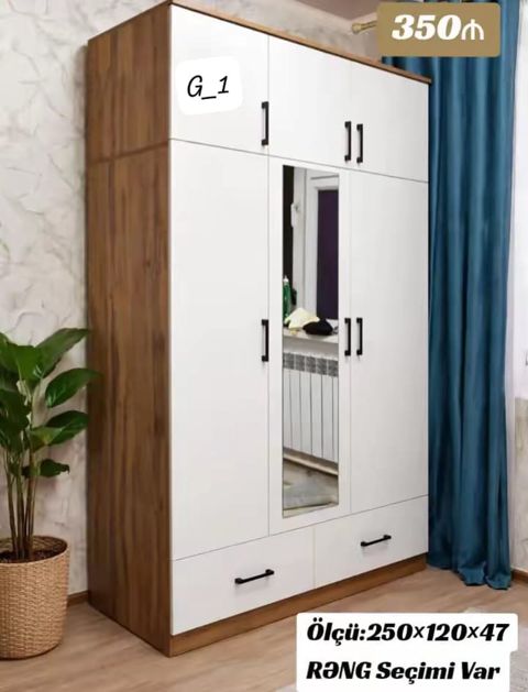 Məhsul: G_1 model paltar dolabı - Ölçü: 250 120 47 sm - Rəng — Bakı