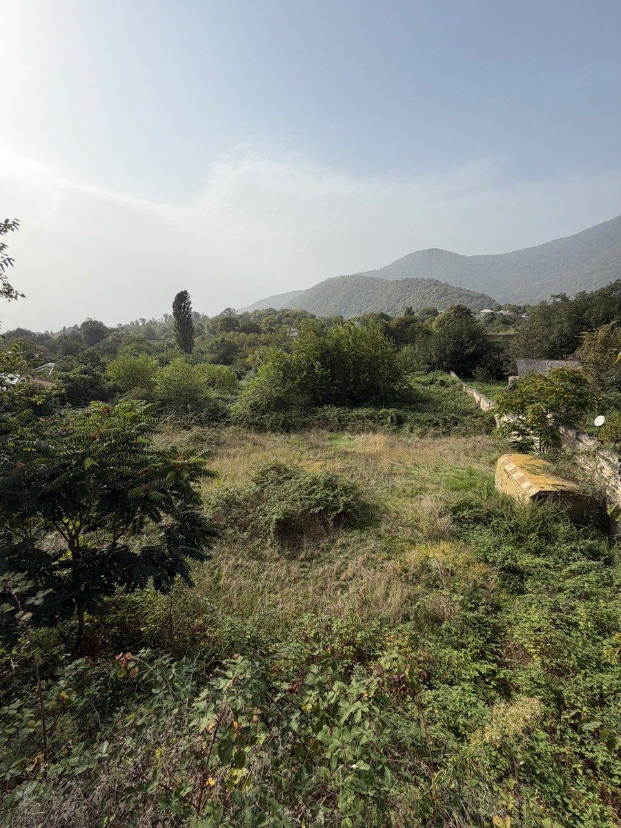 Satılır torpaq 32 sot — Torpaq, Zaqatala (6)