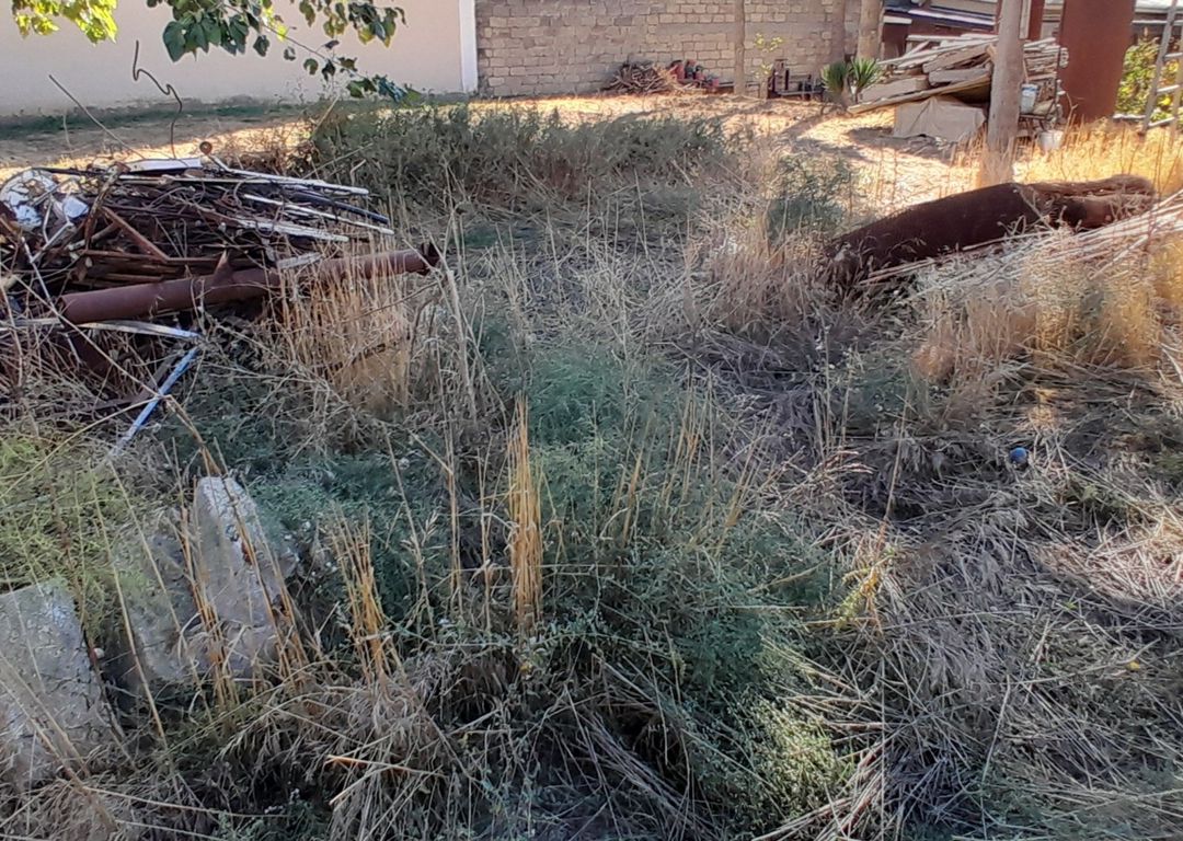 Satılır torpaq 8.1 sot — Torpaq, Bakı (8)