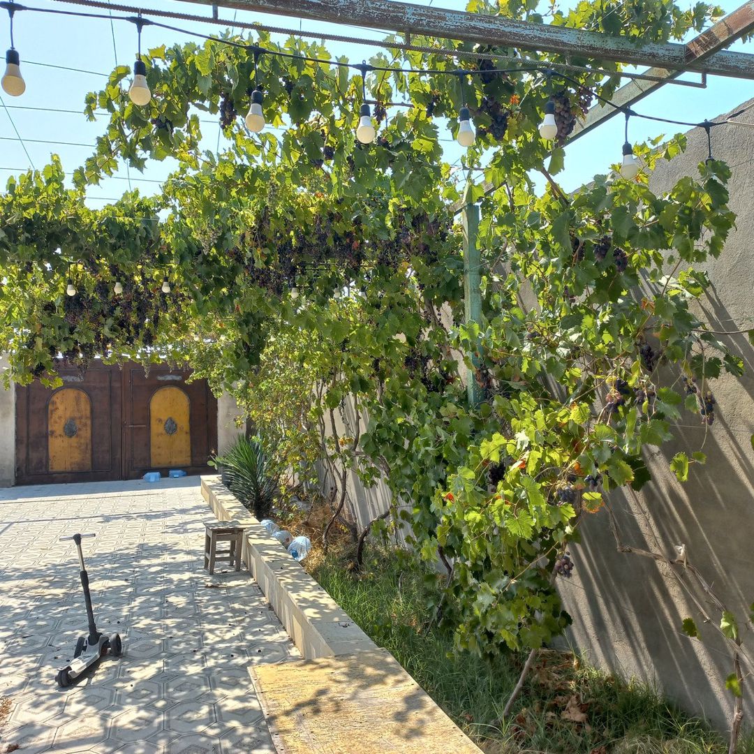 Həyət evi, Bilgəh qəs — Ev, villa, Bakı (10)