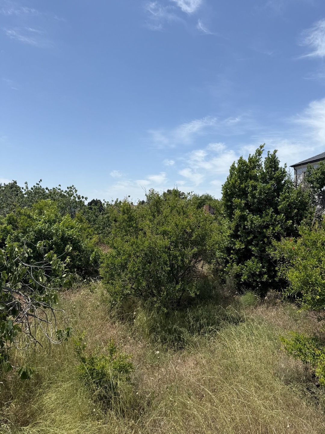Satılır torpaq 25 sot — Torpaq, Bakı (6)