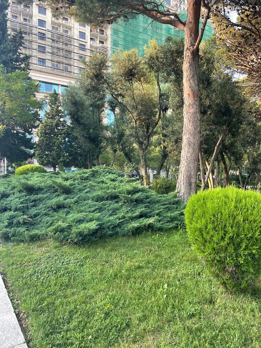 Satılır 2 otaqlı yeni tikili 95 m² — Mənzil, Bakı (3)