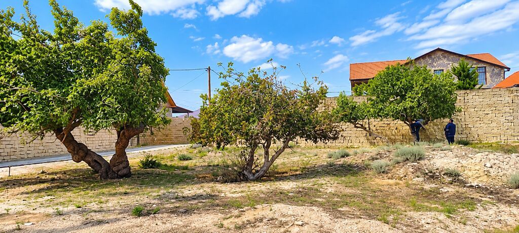 Hövsan qəsəbəsində 6 sot torpaq sahəsi satılır. Torpaq sahəsi dənizdən — Torpaq, Bakı (3)