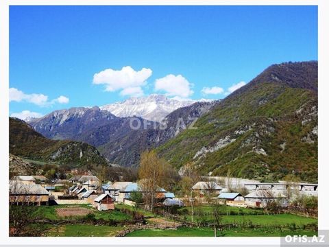 Torpaq Satılır Oğuz, Oğuzda torpaq, 81 sot — Oğuz