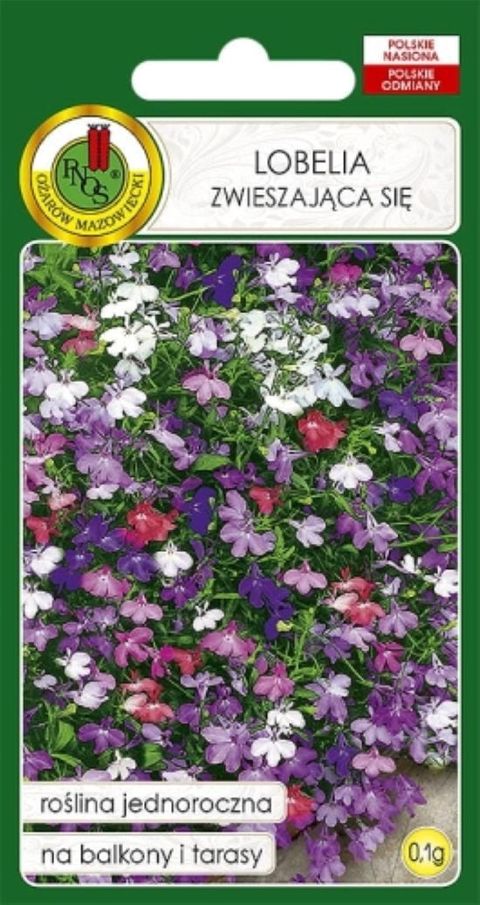 Gül toxumları Pnos Lobelia Zwieszajaca Sie — Bakı