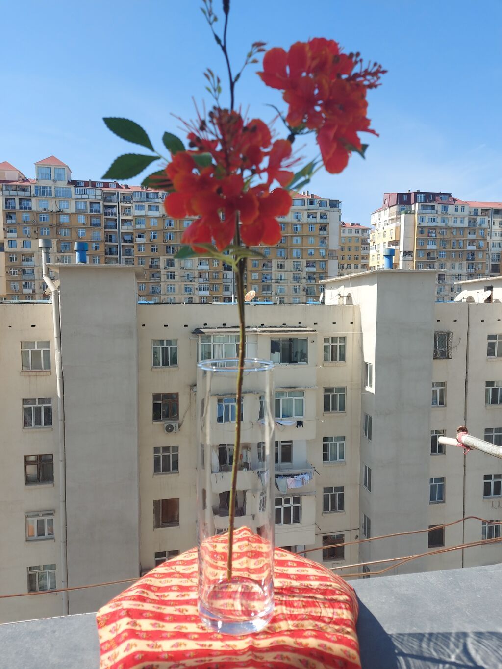 Bir vaza, Bogem şüşəsi — Vaazalar, kreslolar, süni çiçəklər, Bakı (3)