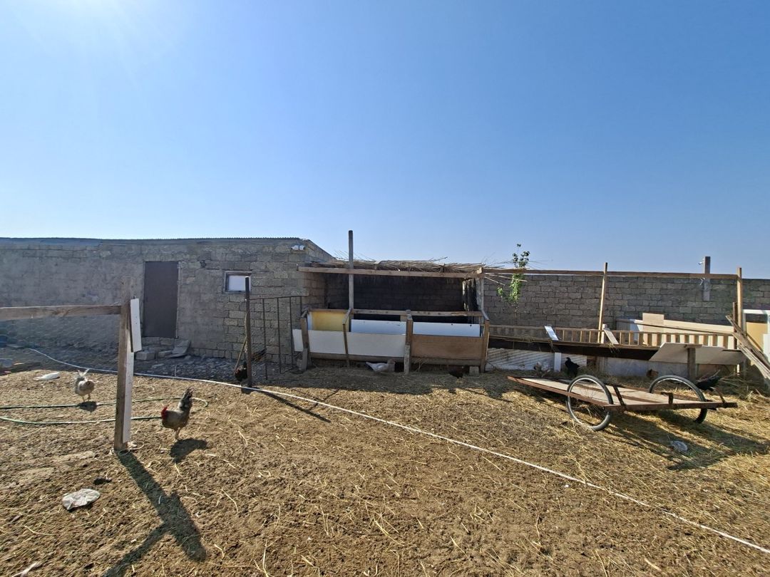 Həyət evi, Zirə qəs — Ev, villa, Bakı (9)