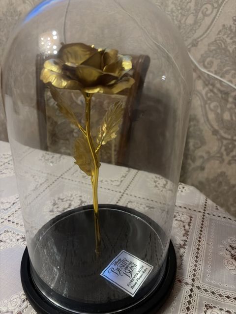 Peony Baku dan alınıb Satılır Disney “Beauty and the Beast” Forever — Digah