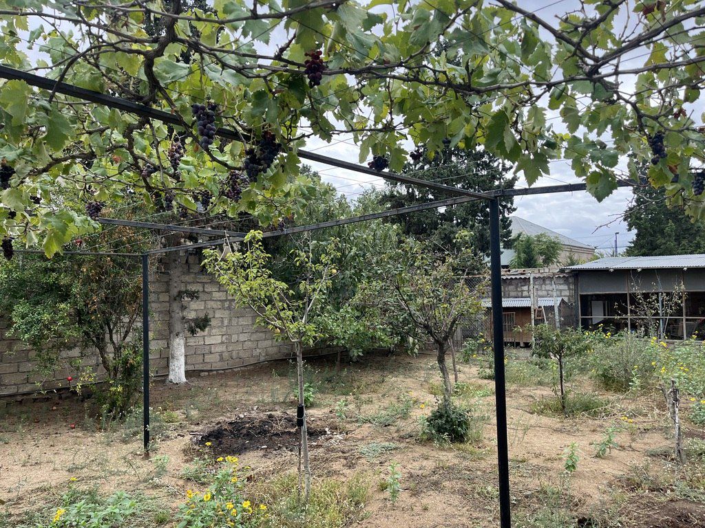 Satılır torpaq 10 sot — Torpaq, Bakı (3)