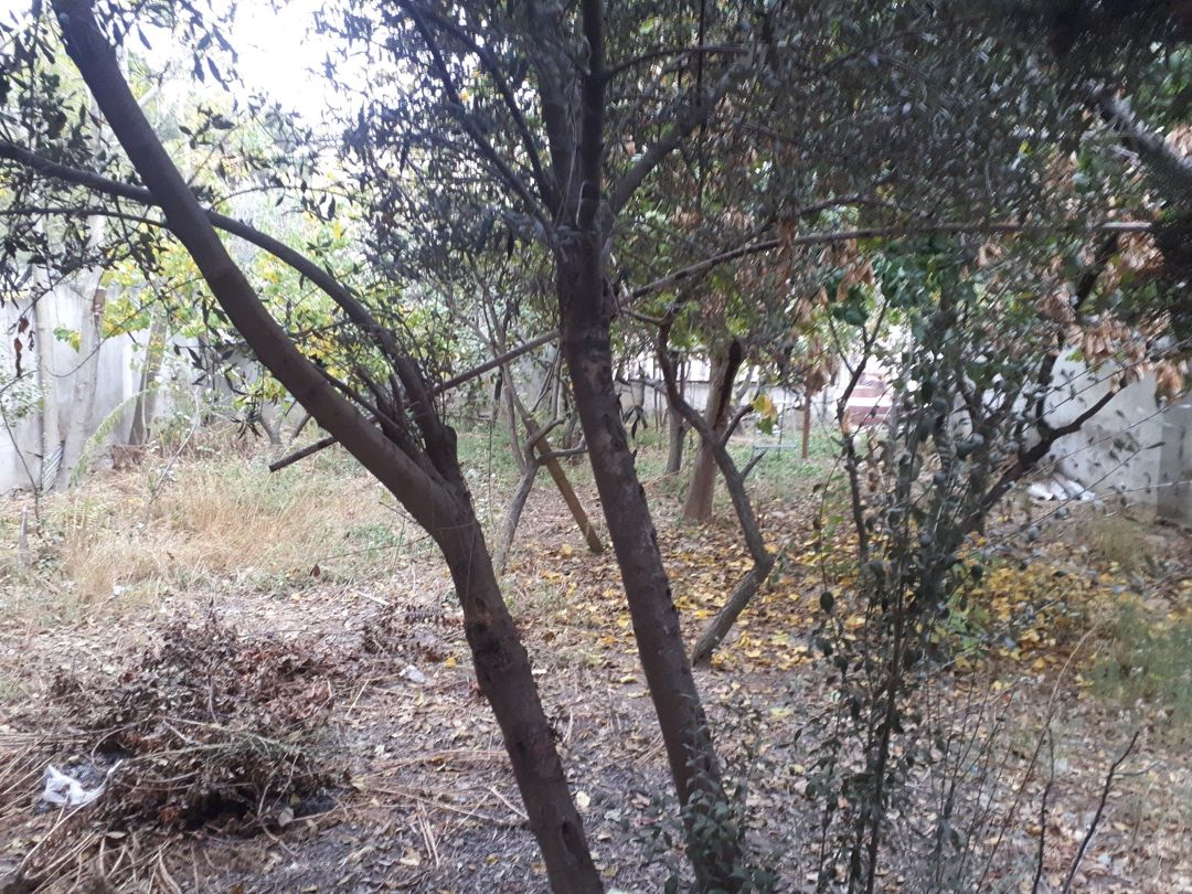 Satılır torpaq 12 sot — Torpaq, Bakı (9)