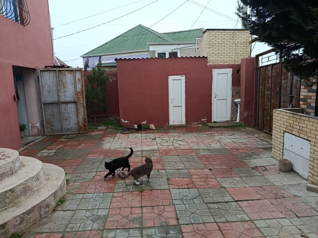 İcarəyə verilir 3 otaqlı həyət evi/bağ evi 120 m² — Ev, villa, Xırdalan (3)