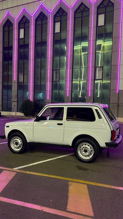Lada (VAZ) Niva, 1.7 L, 2010 il, 200 000 km 99-UP-631 — Avtomobillər, Gəncə (7)