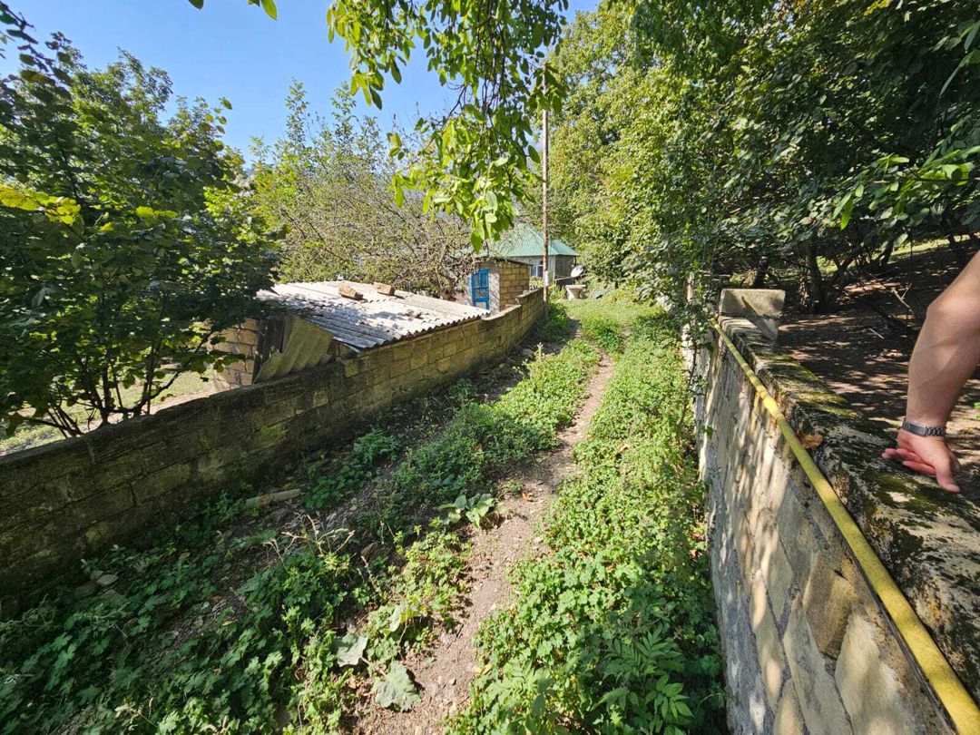 Satılır torpaq 20 sot — Torpaq, Qəbələ (8)