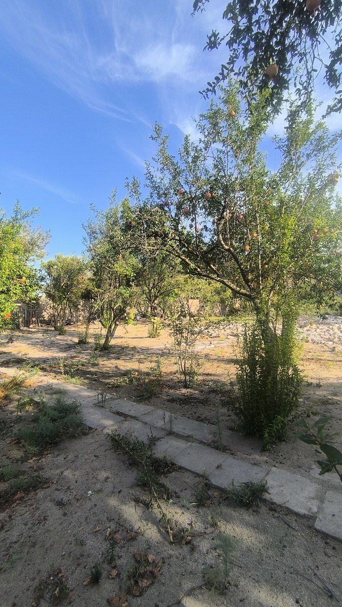 Satılır torpaq 3.5 sot — Torpaq, Bakı (5)