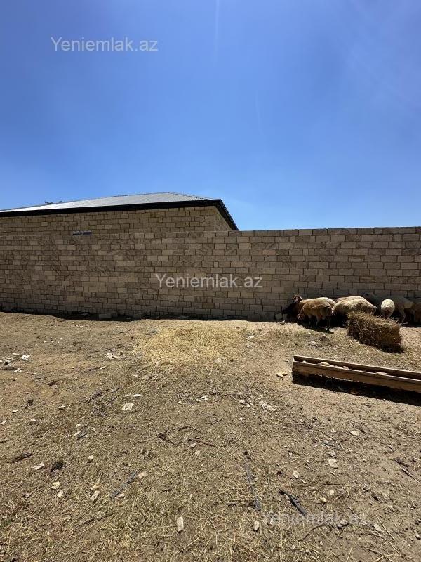 Satılır Torpaq sahəsi, 2.5 sot, Qurd dərəsi — Torpaq, Sumqayıt (5)
