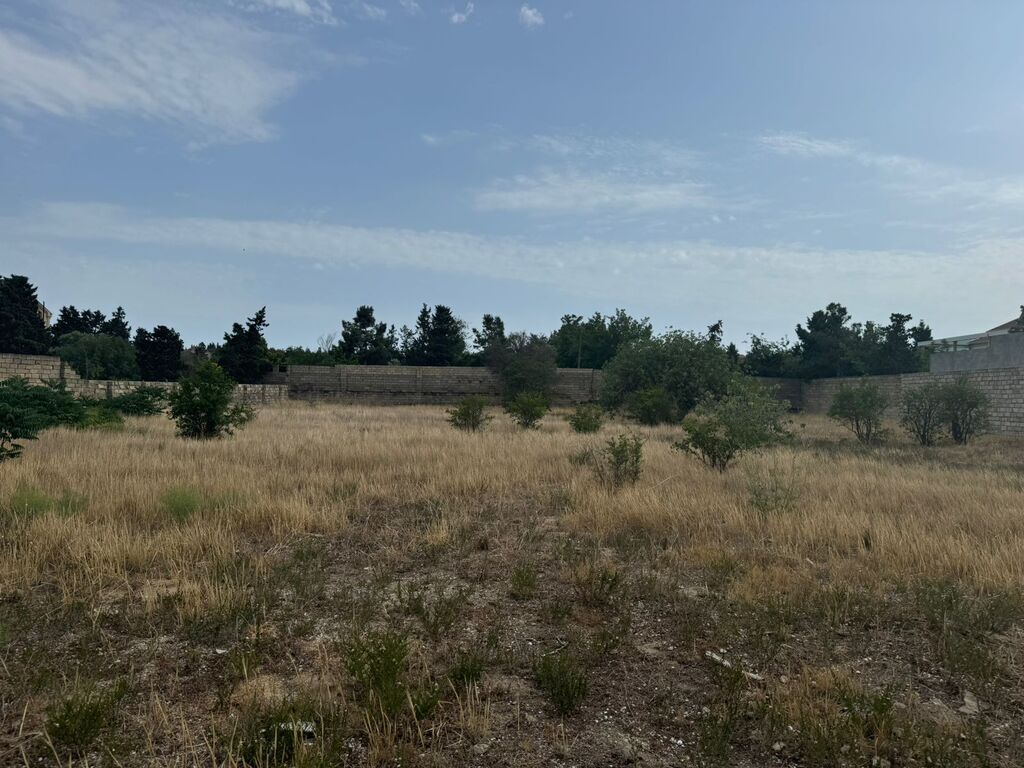 Satılır torpaq 28 sot — Torpaq, Bakı (4)