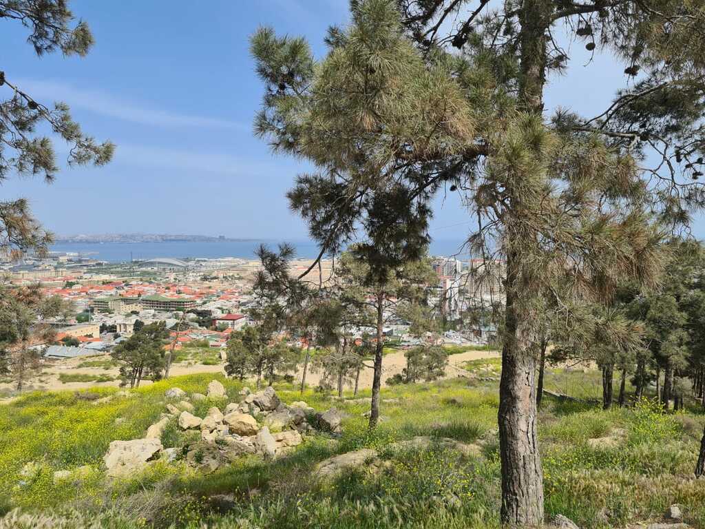 Satılır torpaq 36 sot — Torpaq, Bakı