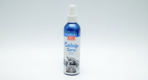 Catnip (pişik otu) spreyi — Bakı