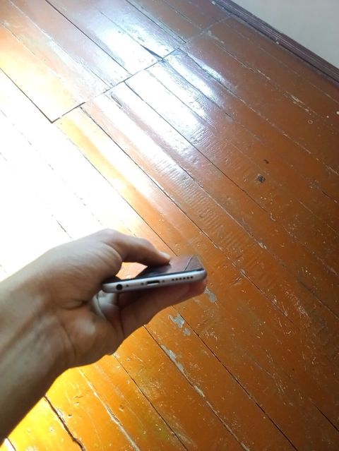 16 GB, Gümüşü, Barmaq izi — Şəki