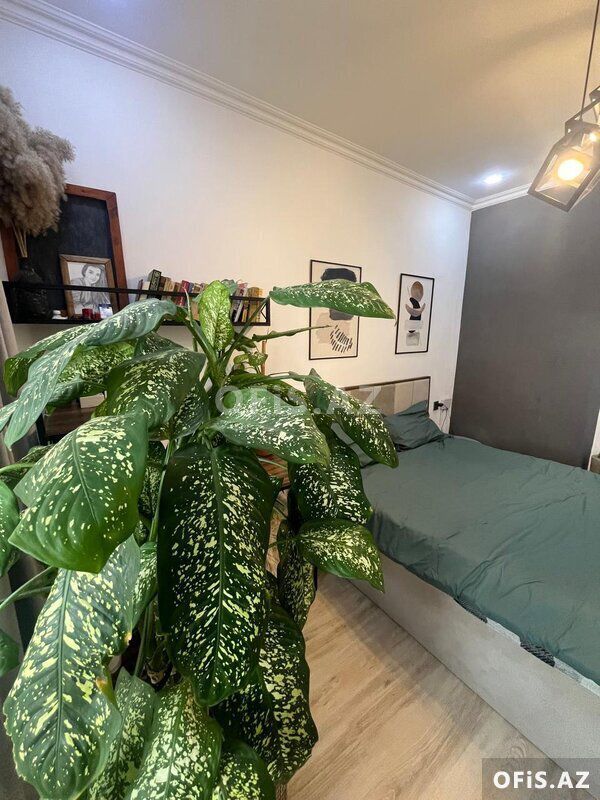 Yeni tikili Satılır Abşeron r., Masazır q., 2 otaq, 53 m² — Mənzil, Bakı (4)