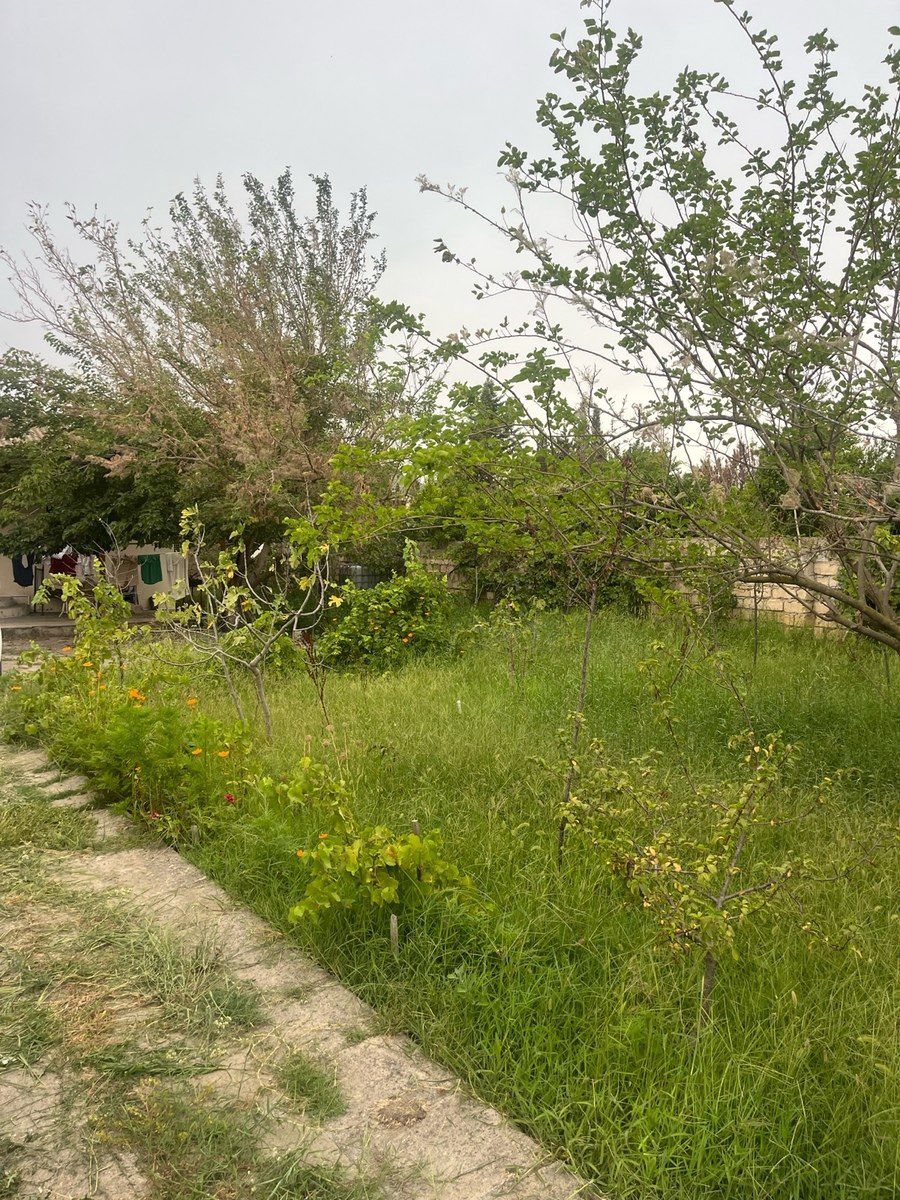 Bağ evi, Görədil qəs — Ev, villa, Bakı (6)
