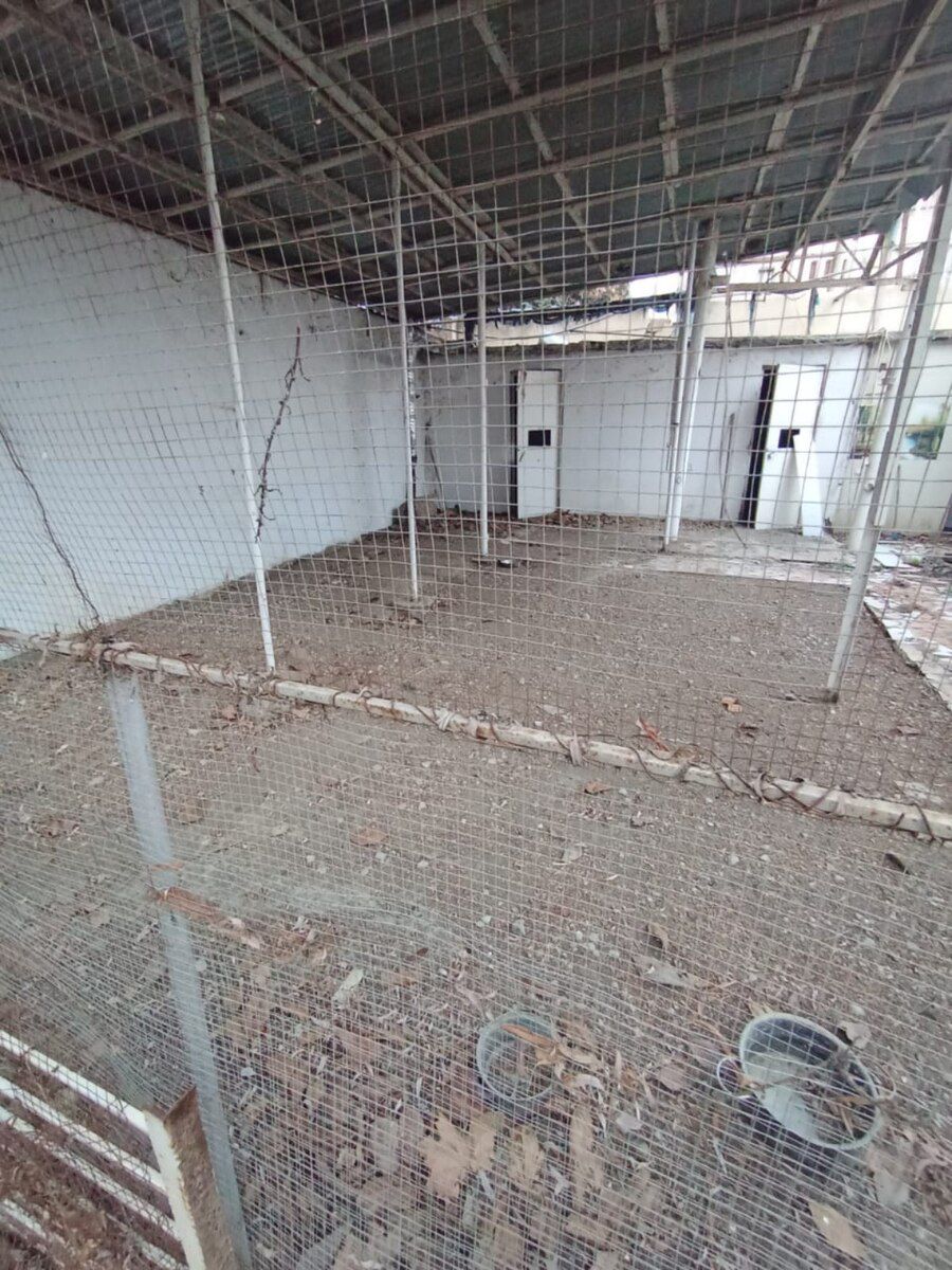 5-otaqlı mənzil, Gəncə ş., 125 m² — Mənzil, Gəncə (6)