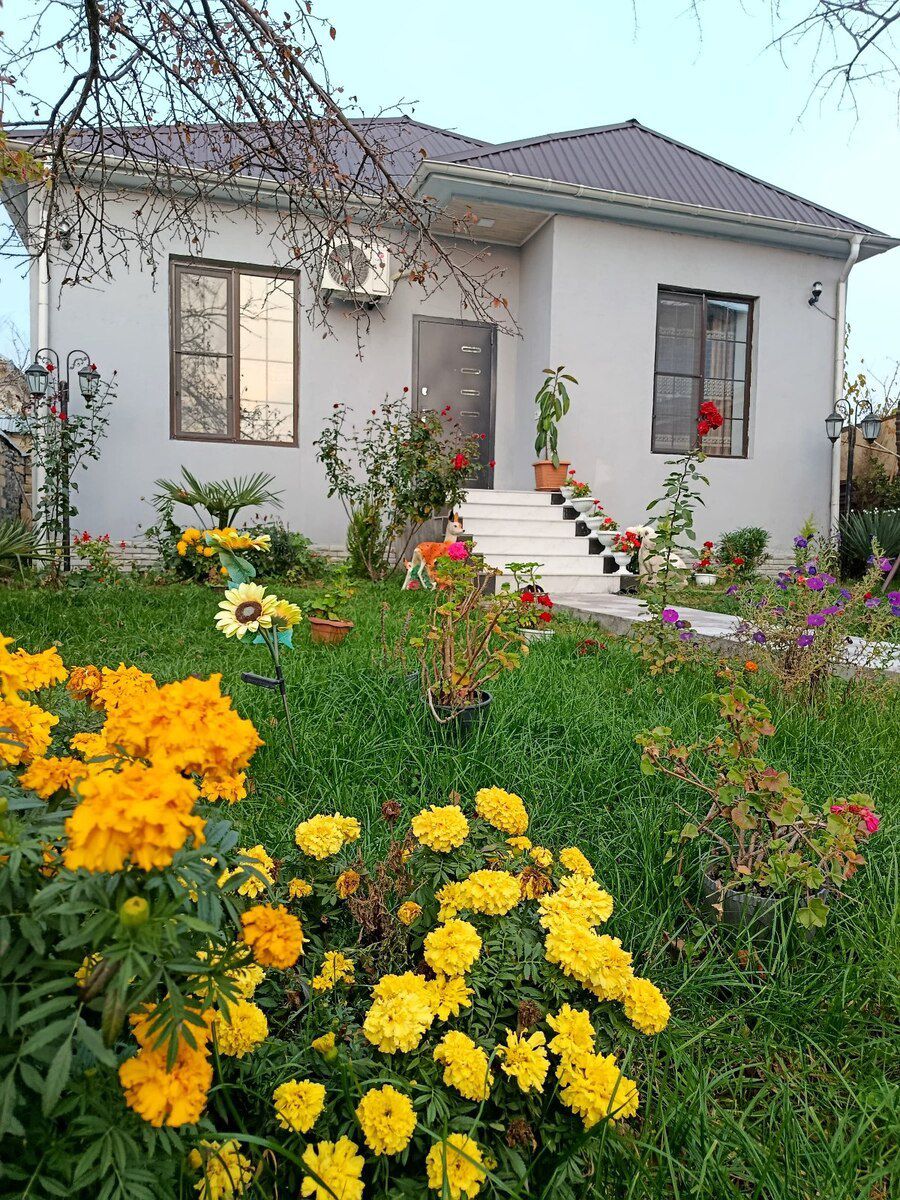 Həyət evi kirayə verilir, Qəbələ ş — Ev, villa, Qəbələ (3)
