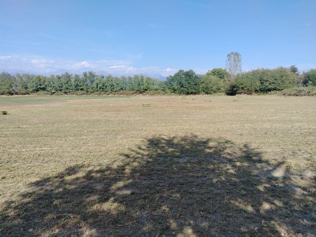 Kənd təsərrüfatı — Torpaq, Qəbələ (3)