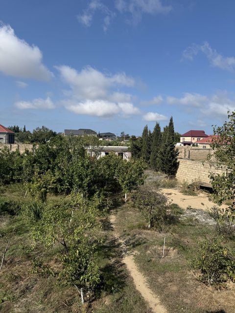 29 sot torpaq sahəsi, Albalılıq yaşayış massivi — Bakı