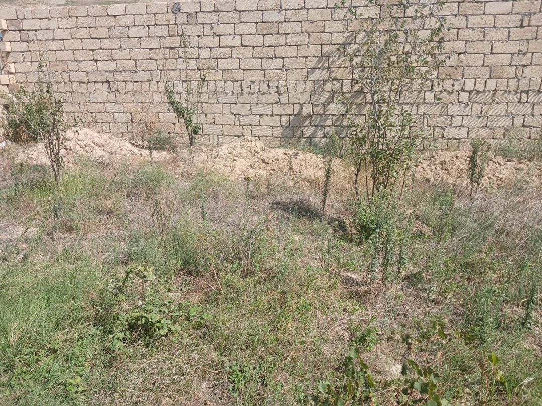 2 sot torpaq sahəsi, Qobu qəs — Torpaq, Bakı (3)