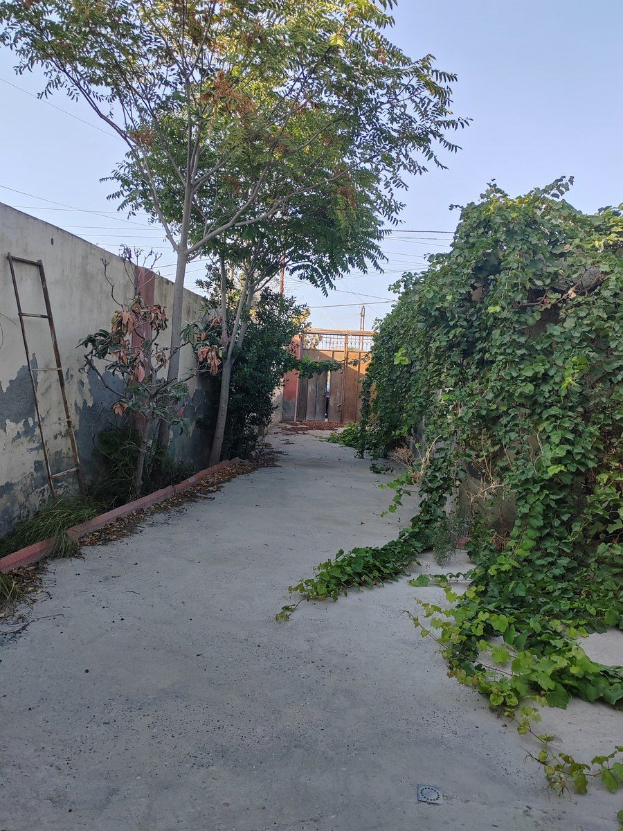 Satılır 3 otaqlı həyət evi/bağ evi 84 m² — Ev, villa, Bakı (3)