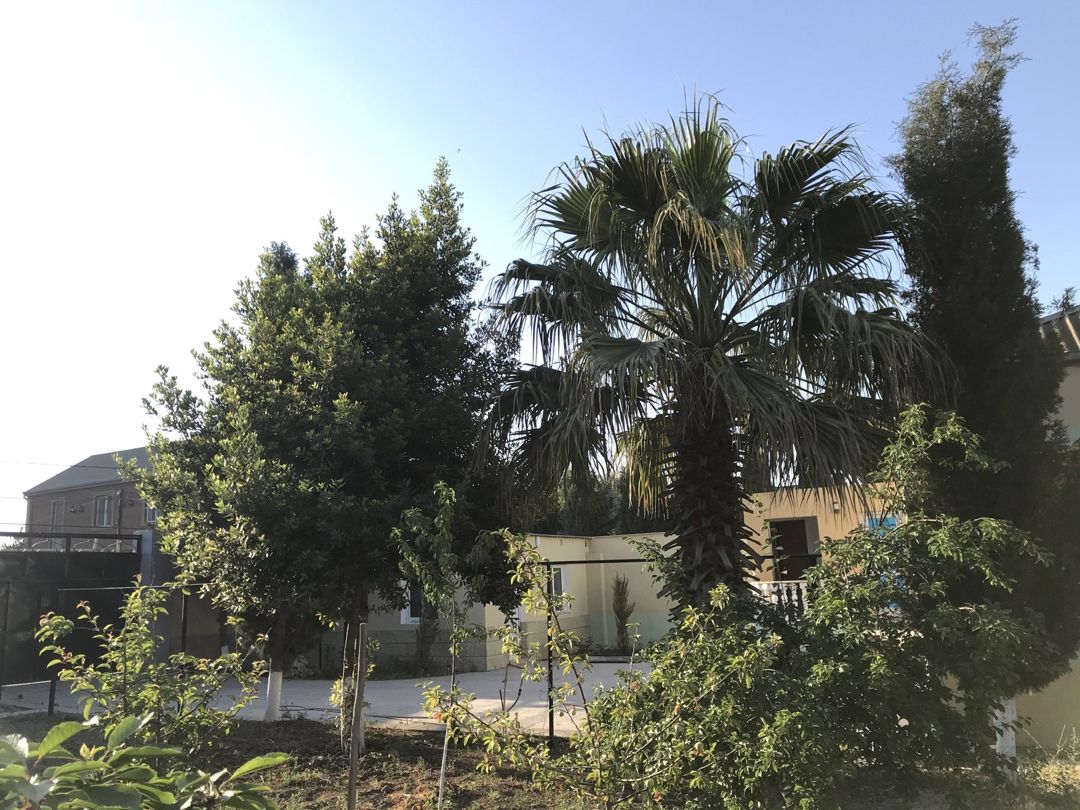 İcarəyə verilir 3 otaqlı həyət evi/bağ evi 100 m² — Ev, villa, Bakı (8)