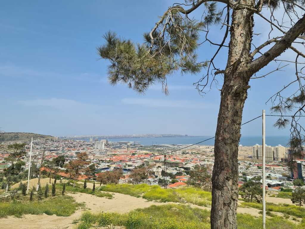 Satılır torpaq 36 sot — Torpaq, Bakı (6)