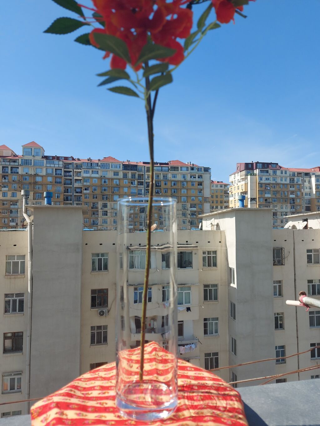 Bir vaza, Bogem şüşəsi — Vaazalar, kreslolar, süni çiçəklər, Bakı (2)