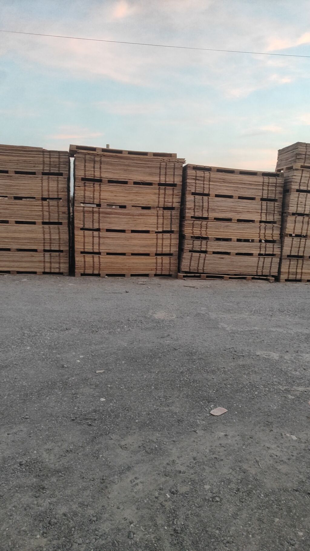Diktlər, 17 mm, Ödənişli çatdırılma — Ağac məmulatı, Bakı (2)