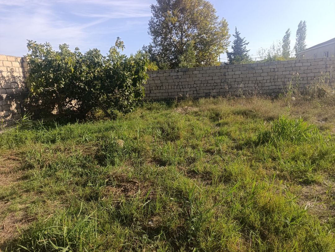 Satılır torpaq 5.6 sot — Torpaq, Bakı (5)
