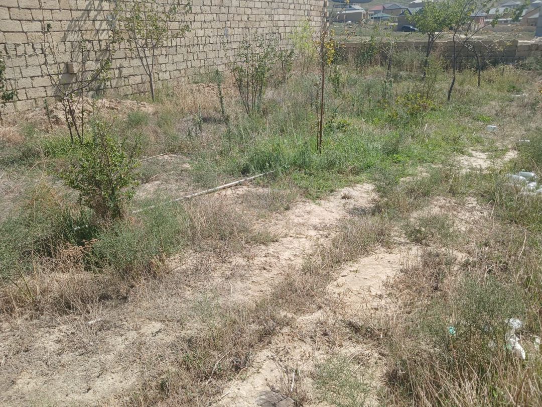 2 sot torpaq sahəsi, Qobu qəs — Torpaq, Bakı (7)