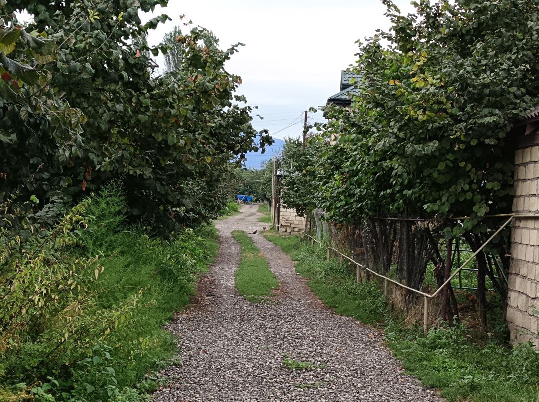 8 sot torpaq sahəsi, Quba r — Torpaq, Quba (12)