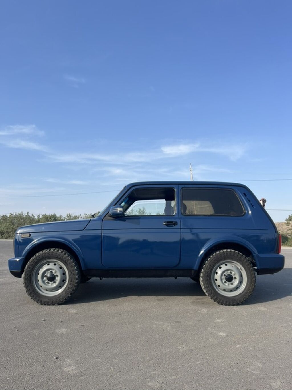 VAZ (Lada) 4x4 Niva: 1.7 l 1999 il 123456 km Ofrouder/SUV 24-BX-305 — Avtomobillər, Şirvan (6)