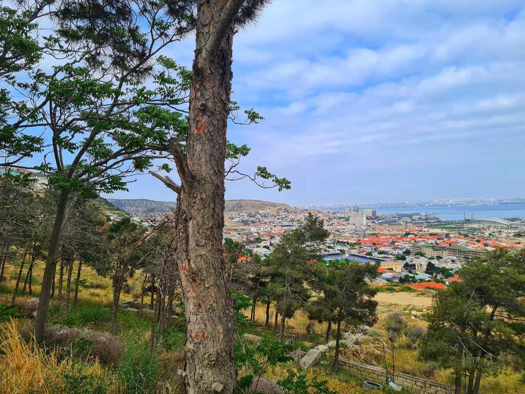 Satılır torpaq 36 sot — Torpaq, Bakı (4)