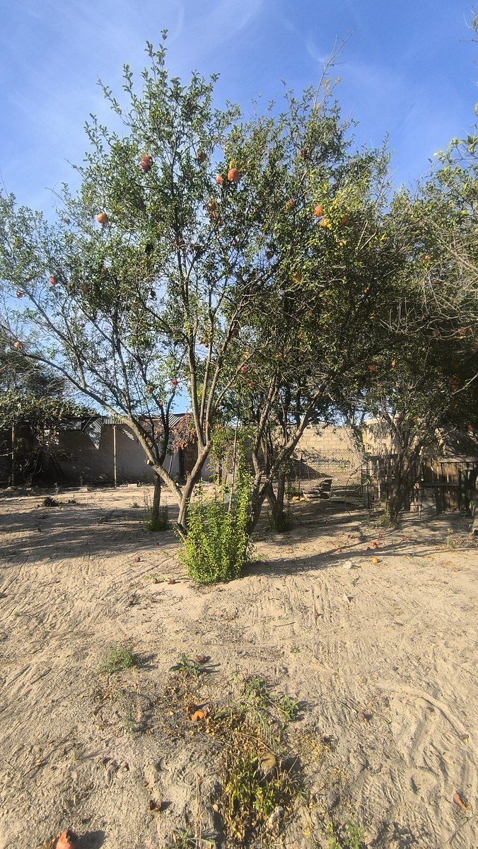 Satılır torpaq 3.5 sot — Torpaq, Bakı (10)