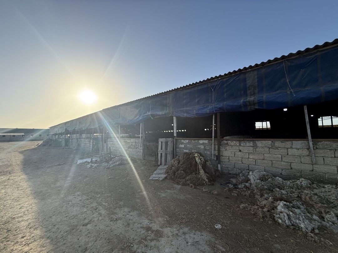 Satılır obyekt 20000 m² — Əmlak, Bakı (9)